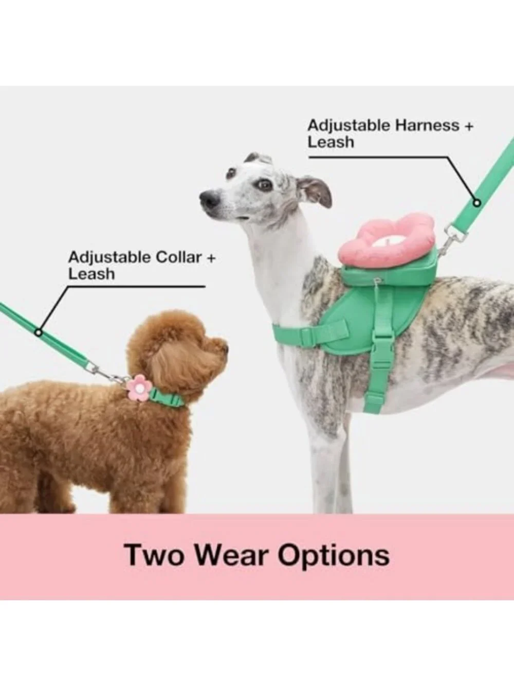 Floral Dog Harness Set with Leash & Collar - No Pull Vest for Small Dogs